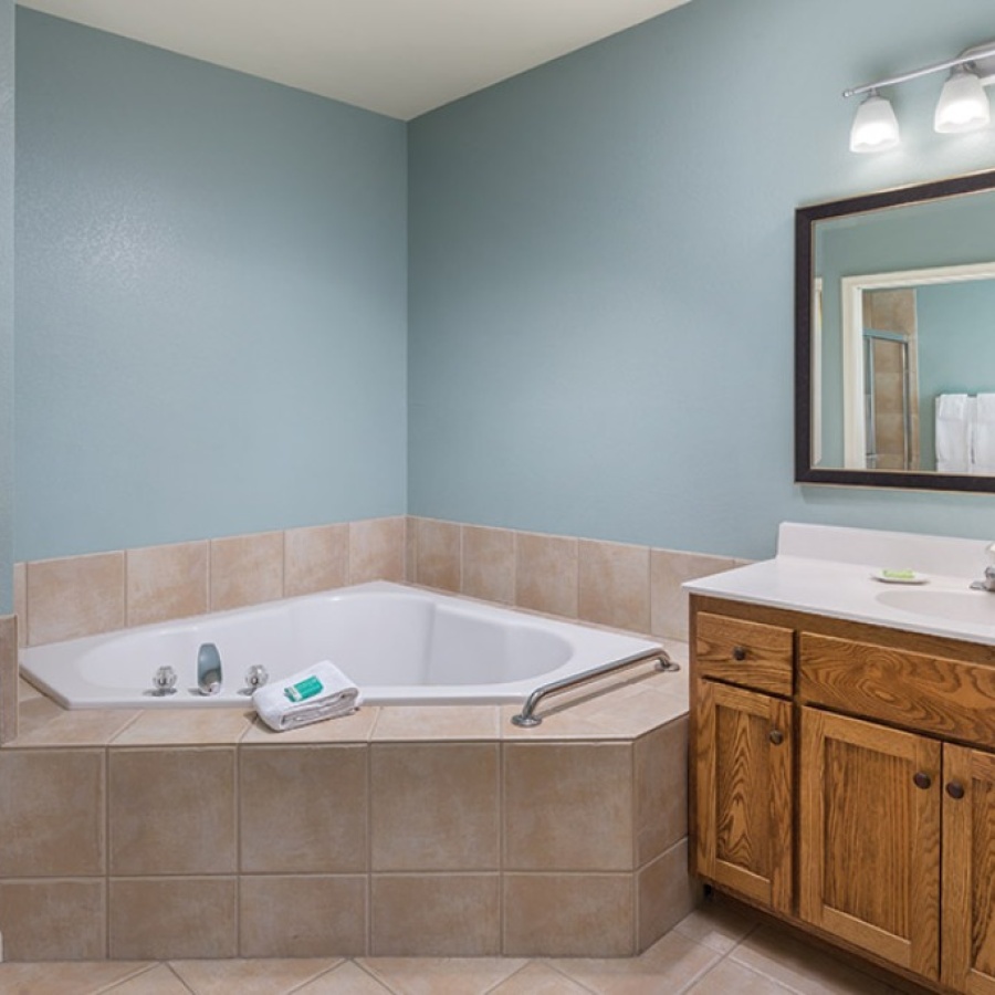 Large Master Bathroom